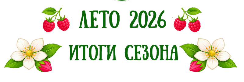 лето-2026 -итоги-800.png