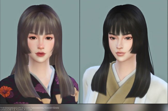 Female Hair G21 от Daisy-Sims