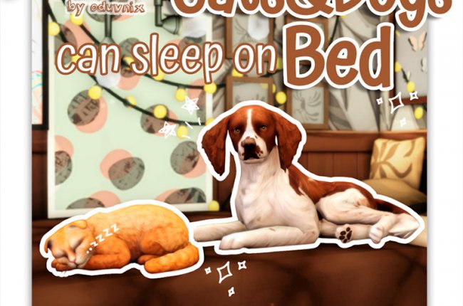 КОШКИ и СОБАКИ могут спать НА КРОВАТЯХ