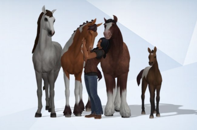 Потерянные лошади из Честнат Ридж