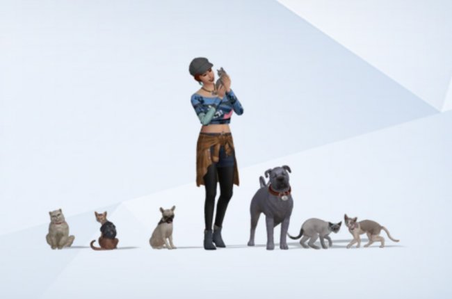 Потерянные питомцы Бриндлтон-Бей