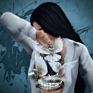 У меня к тебе птицы