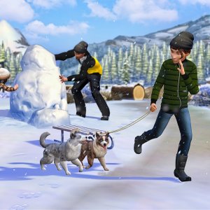 Зимние забавы