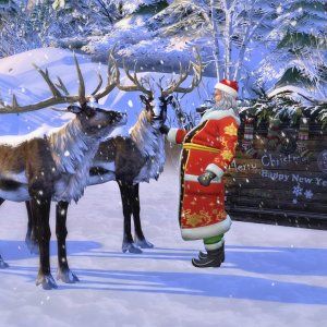 Курс на Рождество