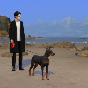 Я гуляю с доберманом