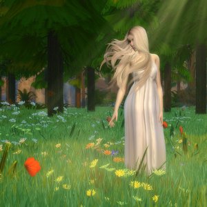 Весенний ветер