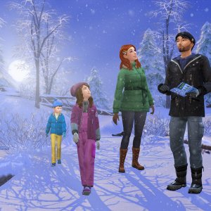 Прогулки по лесу