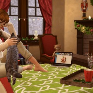 Встречу новый год