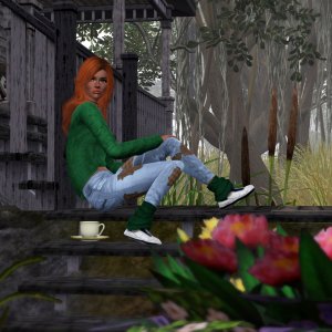 Домик на болоте