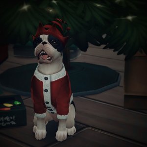 Дюк в свитере