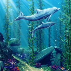 Их подводный рай