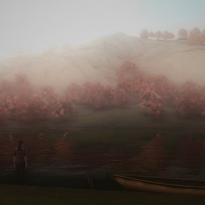 Мы с конём (туманная версия)