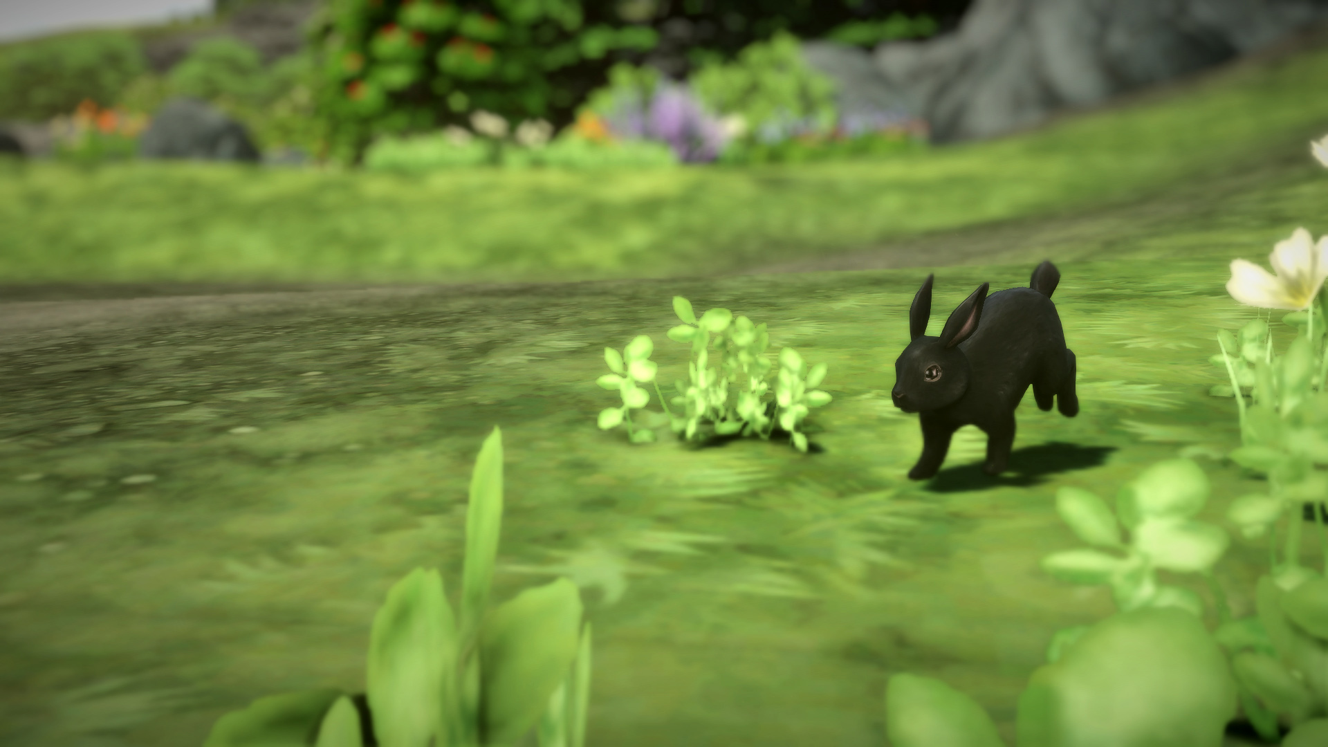 Кролик Хэнфорда