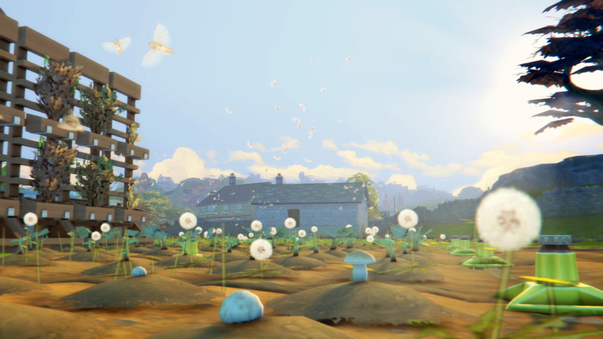 Одуванчики