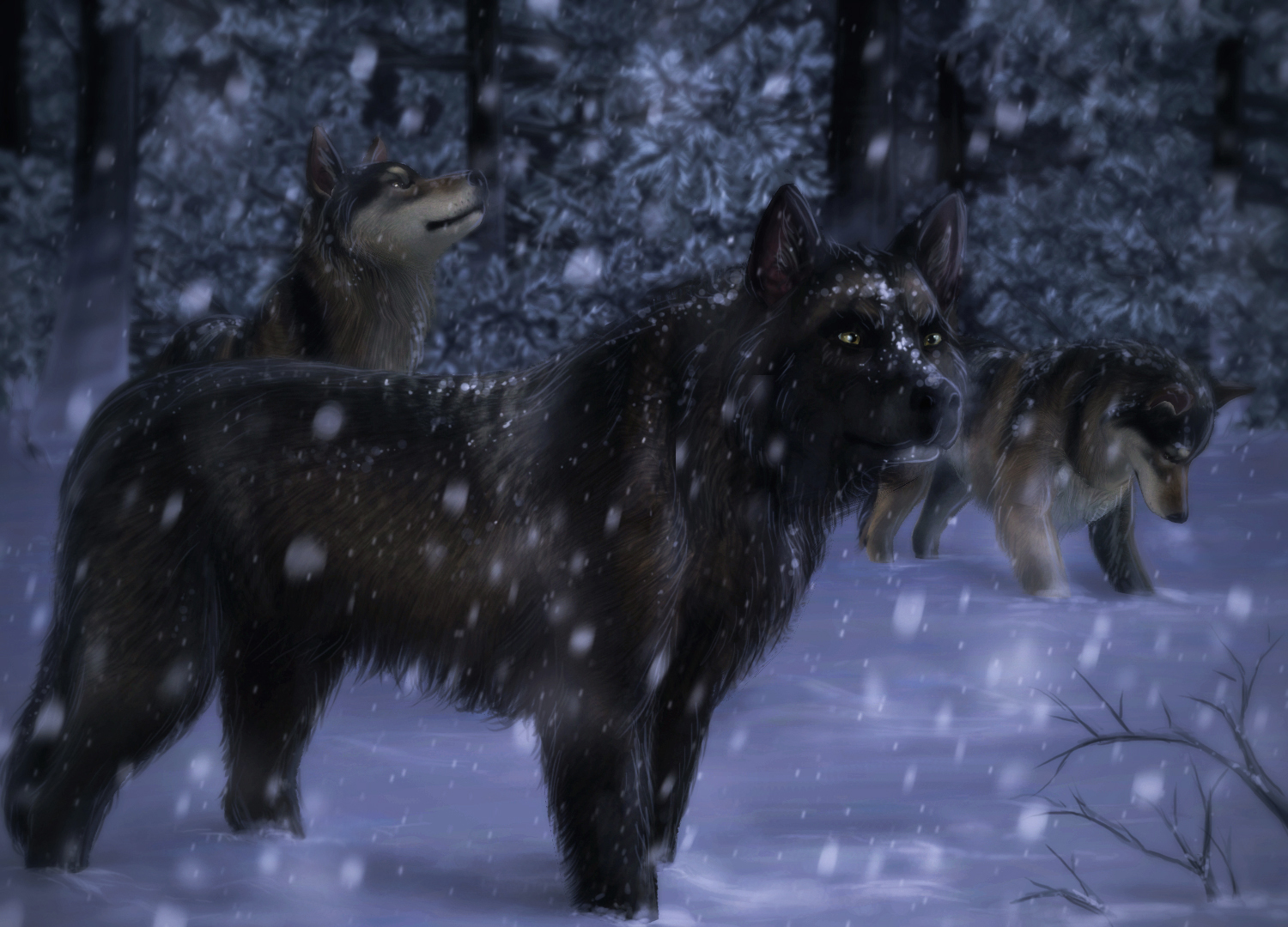 Суровая зима