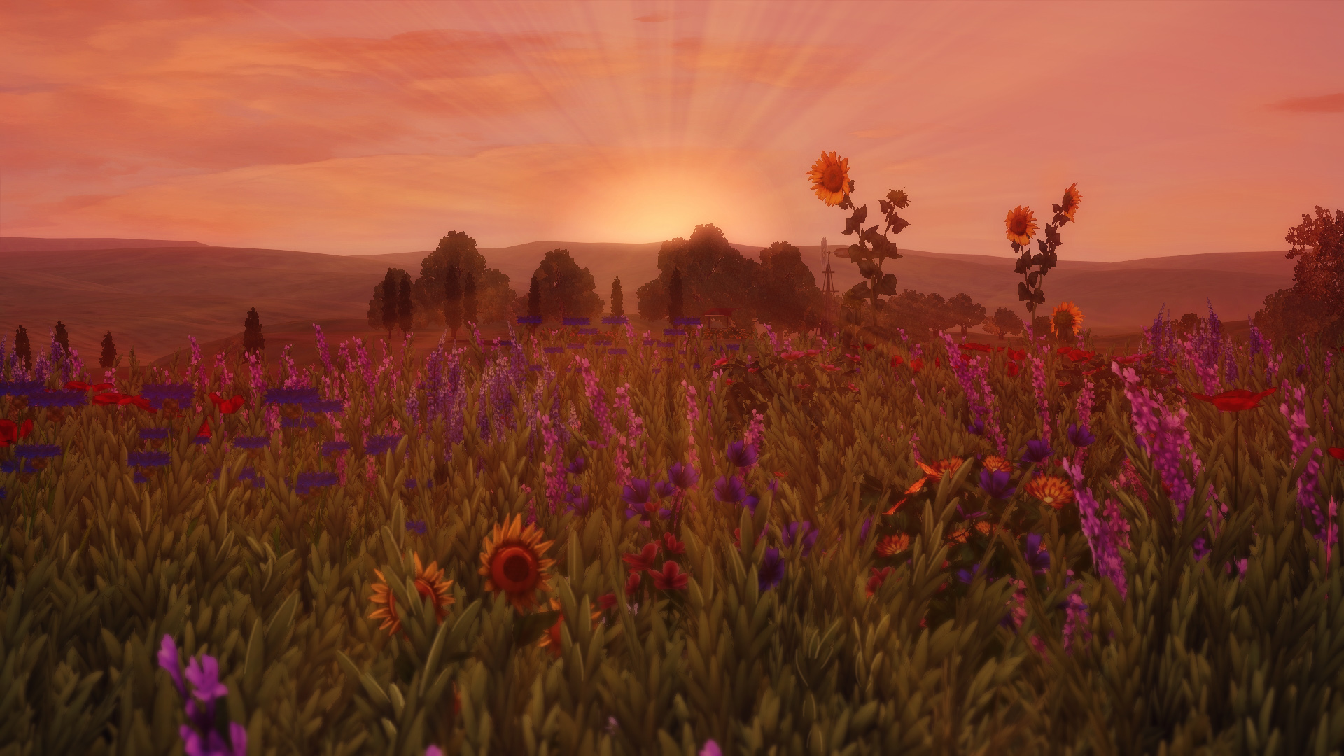 Закат в поле