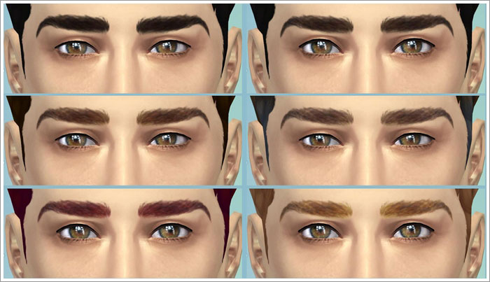 brows01-2.jpg