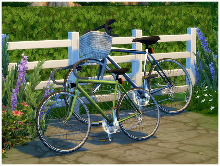 bicycles3.jpg