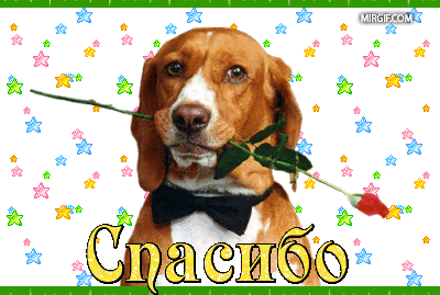 spasibo5.gif