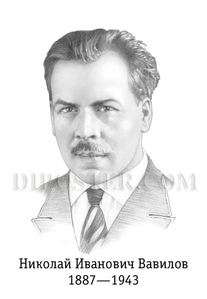 Vavilov.jpg