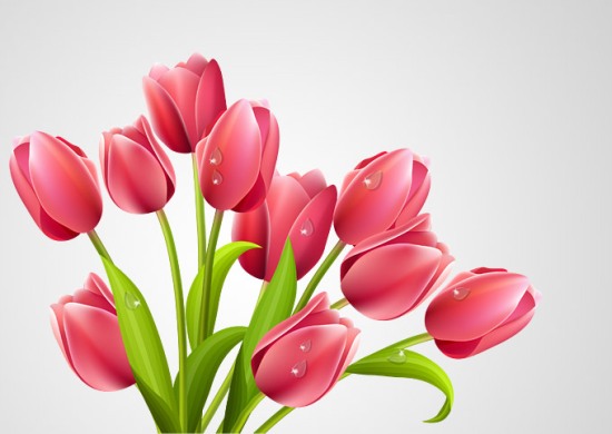 free-tulips-bouquet-vector-0224.jpg