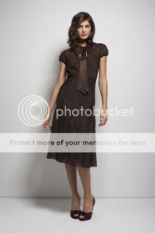 dvfbraunprefall2008dress-1.jpg